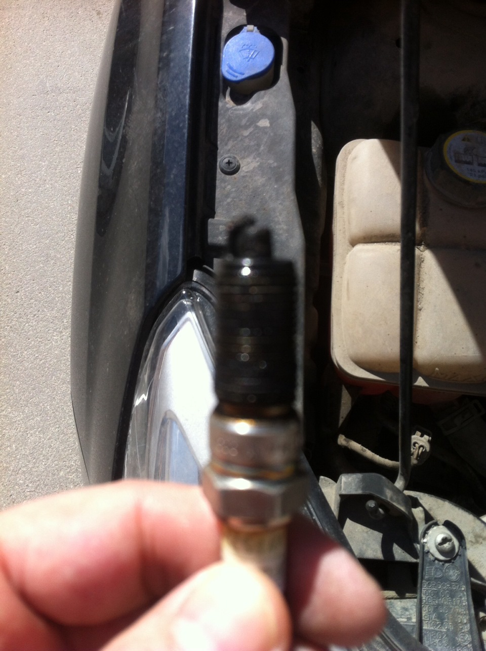 Масло на свечах — Ford Focus II Hatchback, 1,6 л, 2010 года | поломка ...