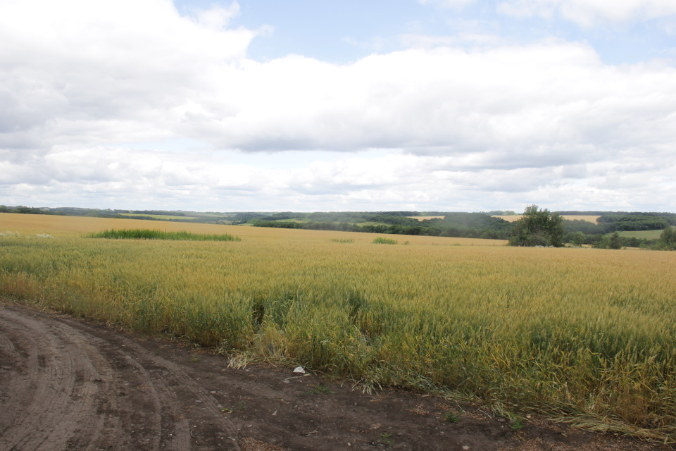Москва — Белгород. часть 1 — Lada Ларгус, 1,6 л, 2016 года ...