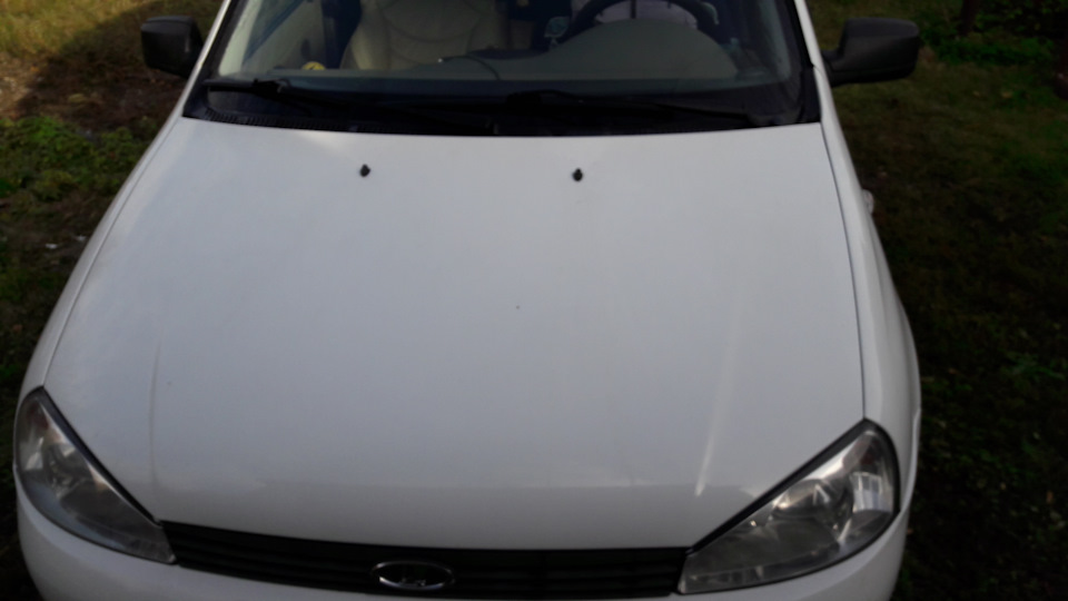 веерные форсунки омывателя шевроле нива бертоне — Lada Калина Универсал ...