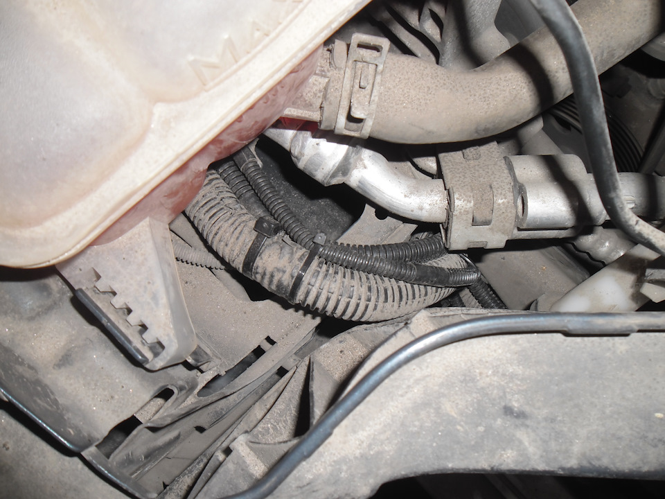 Фото в бортжурнале Ford Focus Hatchback III