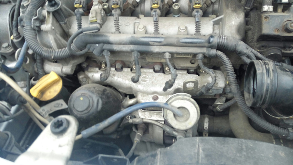 Свечи накала "chek glow plugs" — FIAT Linea, 1,3 л, 2012 года