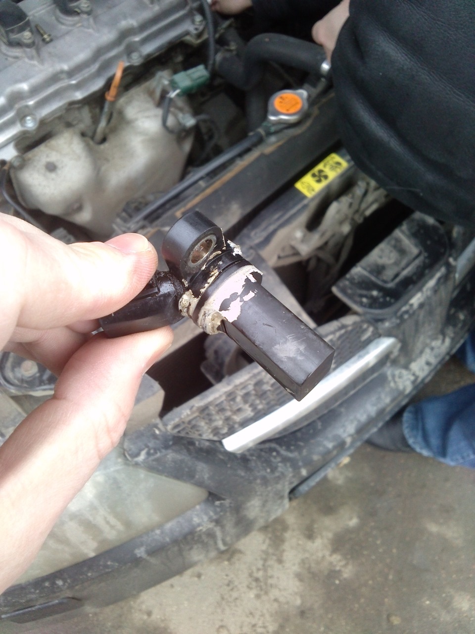 Фото в бортжурнале Nissan Almera II (N16)