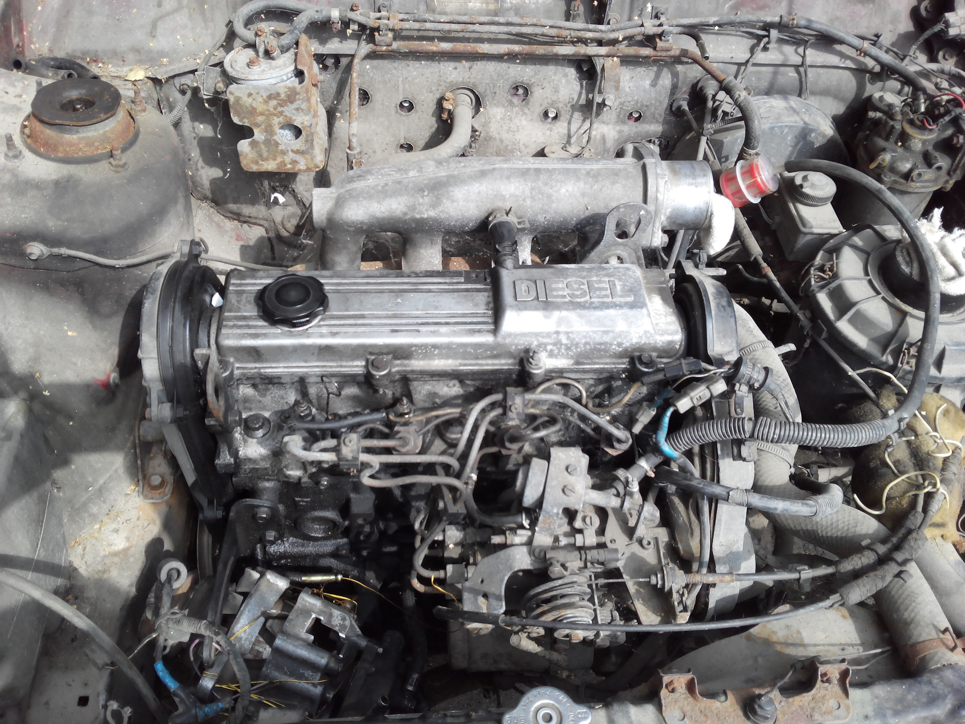 Купить двигателя мазда 626. Mazda 626 GD 2.0 Diesel. Мазда 626 мотор 2.0. Двигатель Мазда 626 2.0 RF. Двигатель Мазда 626 2.0 дизель.