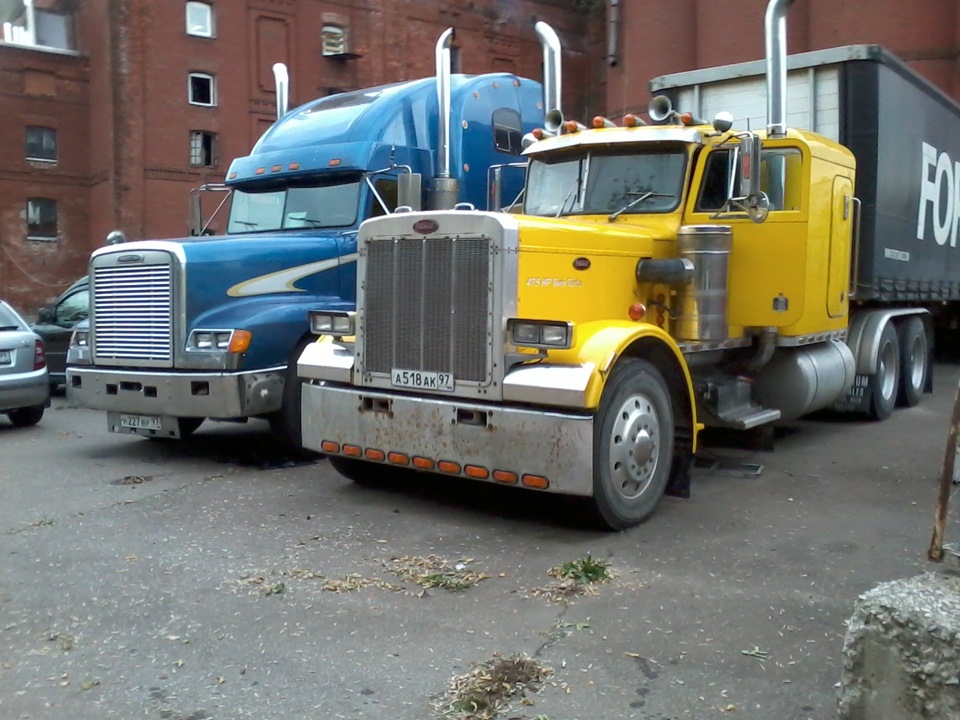 Peterbilt 359 v24