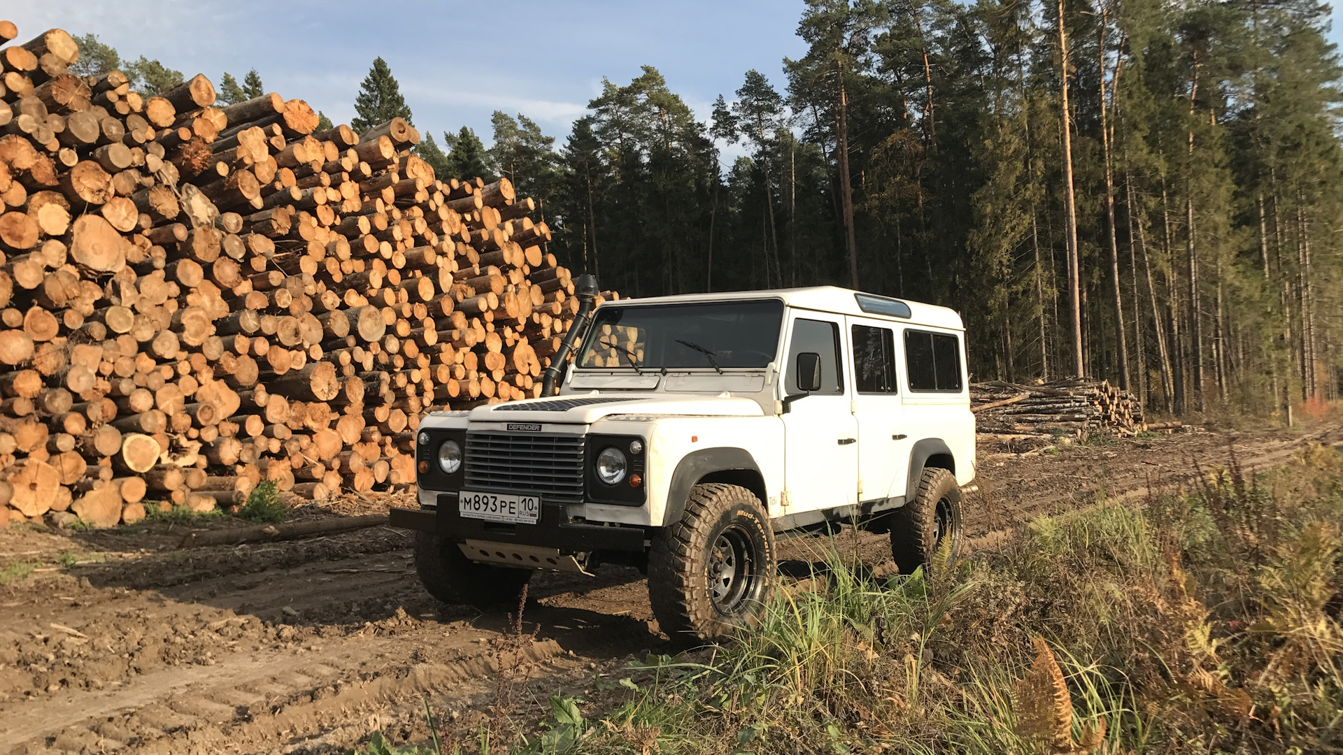 Land Rover Defender 2.5 дизельный 1996 | Оживший БоРСУЧёК на DRIVE2