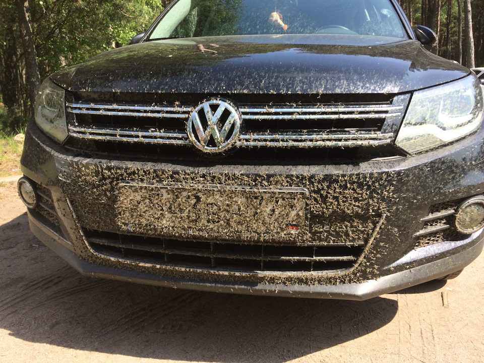 Фото в бортжурнале Volkswagen Tiguan (1G)