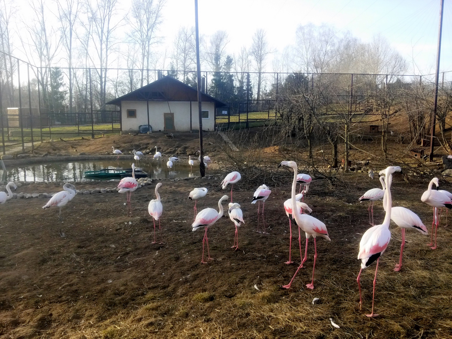 музей птиц в калужской области