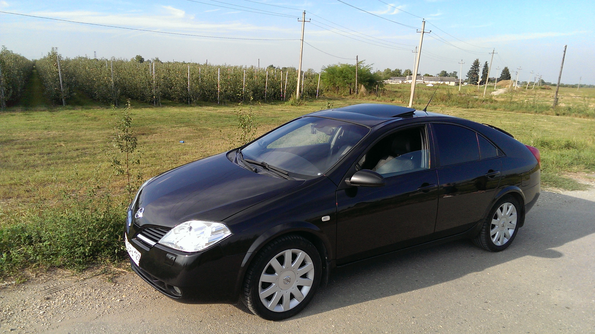 Nissan Primera (P12) 1.8 бензиновый 2002 на DRIVE2