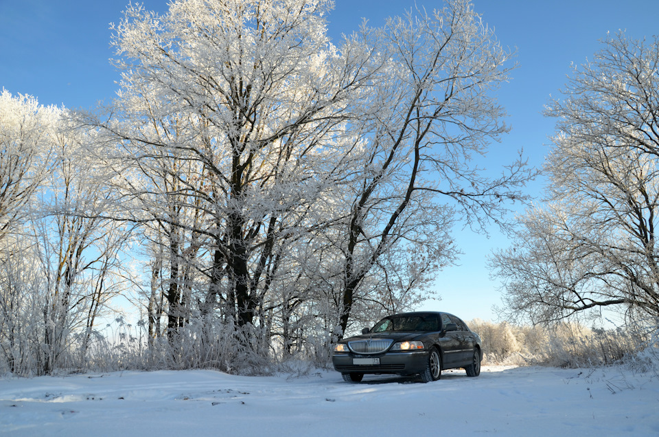 По ту сторону дубовой посадки… — Lincoln Town Car III