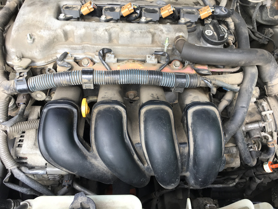 Фото в бортжурнале Toyota Matrix (1G)