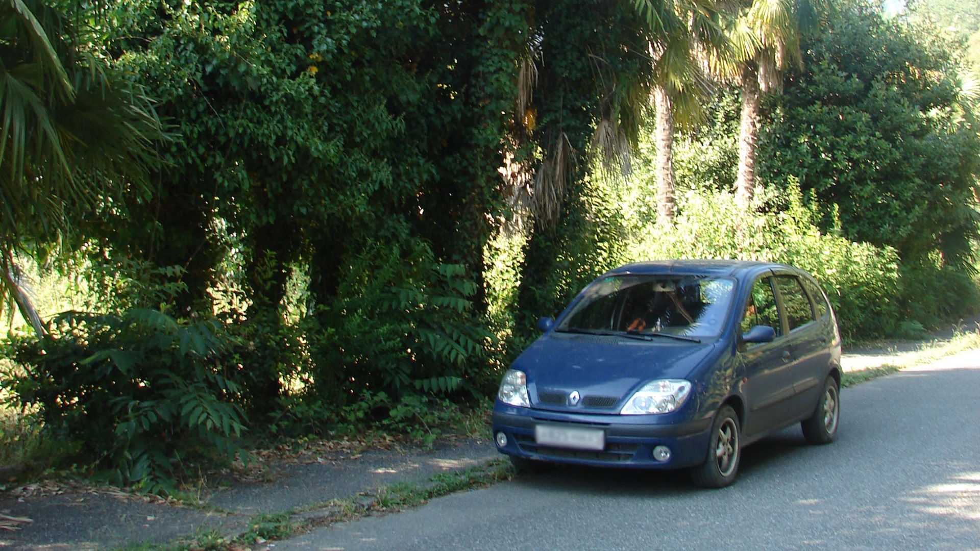 Renault Scenic I 1.6 бензиновый 2002 | на DRIVE2