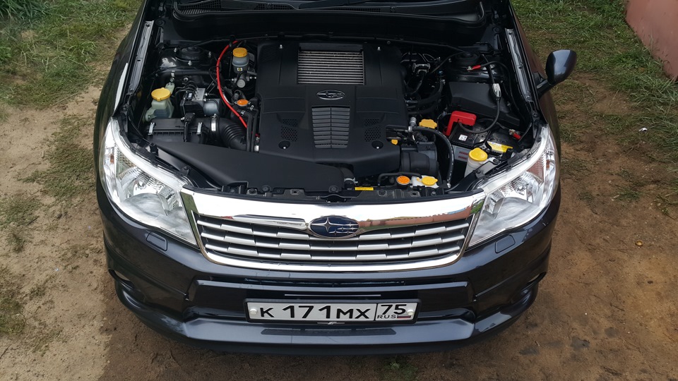 13. Помывка двигуна — Subaru Forester (SH), 2 л, 2008 года | мойка | DRIVE2