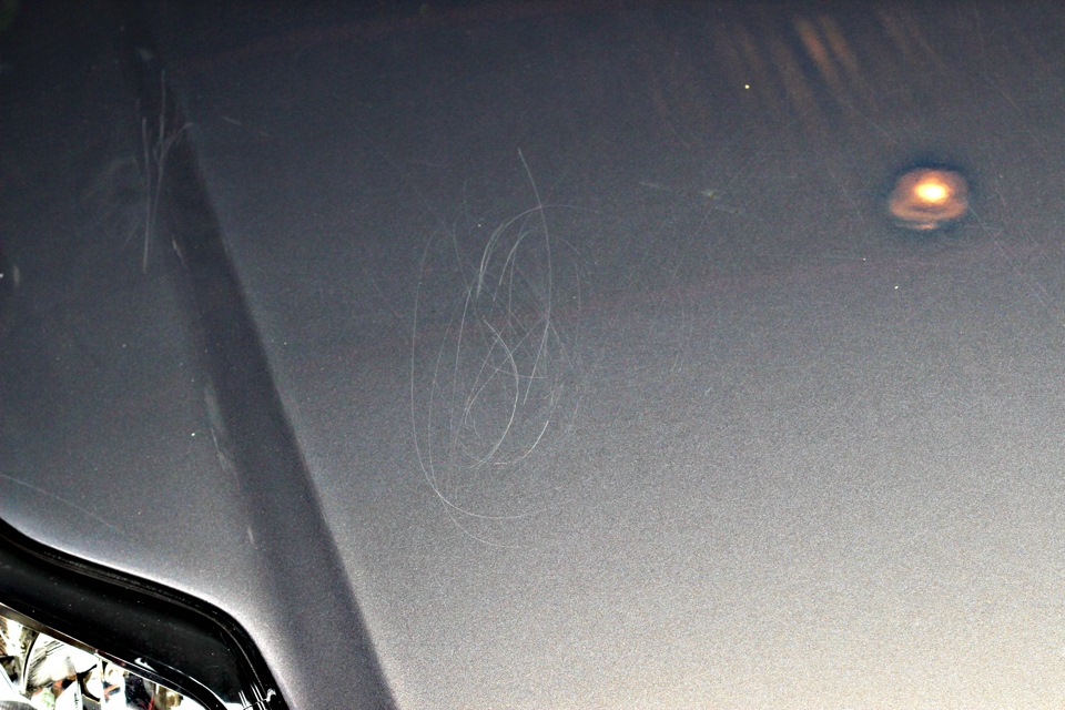 лкп росприроднадзор