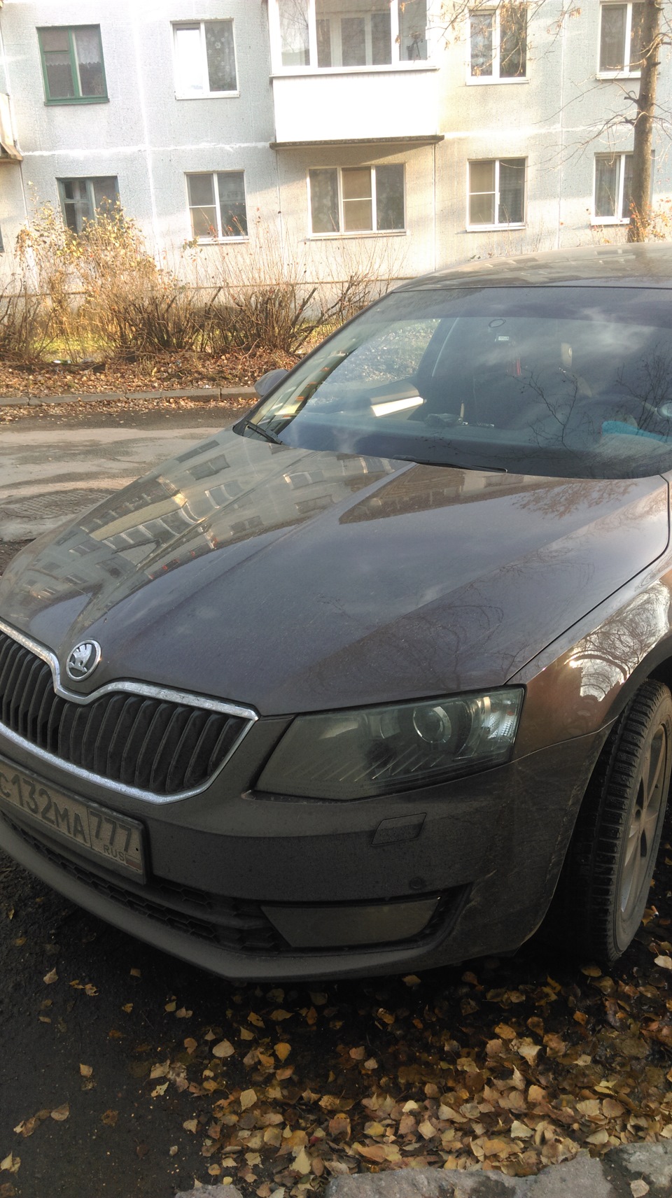 Мск — Псков — Мск — Skoda Octavia A7 Mk3, 1,8 л, 2014 года | покатушки |  DRIVE2