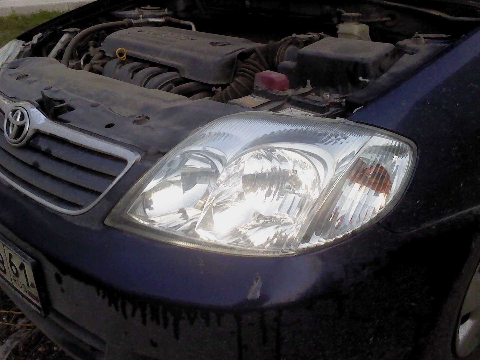Лампочки Xenon HID 6000k — Toyota Corolla (120), 1,6 л, 2006 года ...