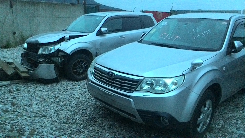 Фото в бортжурнале Subaru Forester (SH)