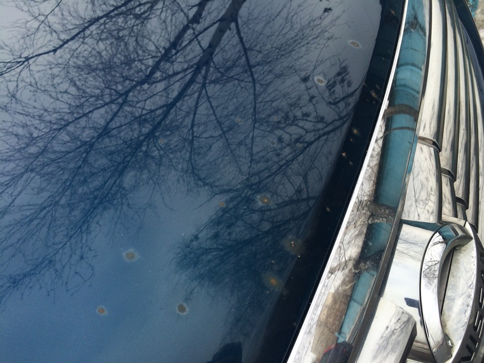 Стоит ли красить капот? — Nissan Teana (J31), 2,3 л, 2007 года ...