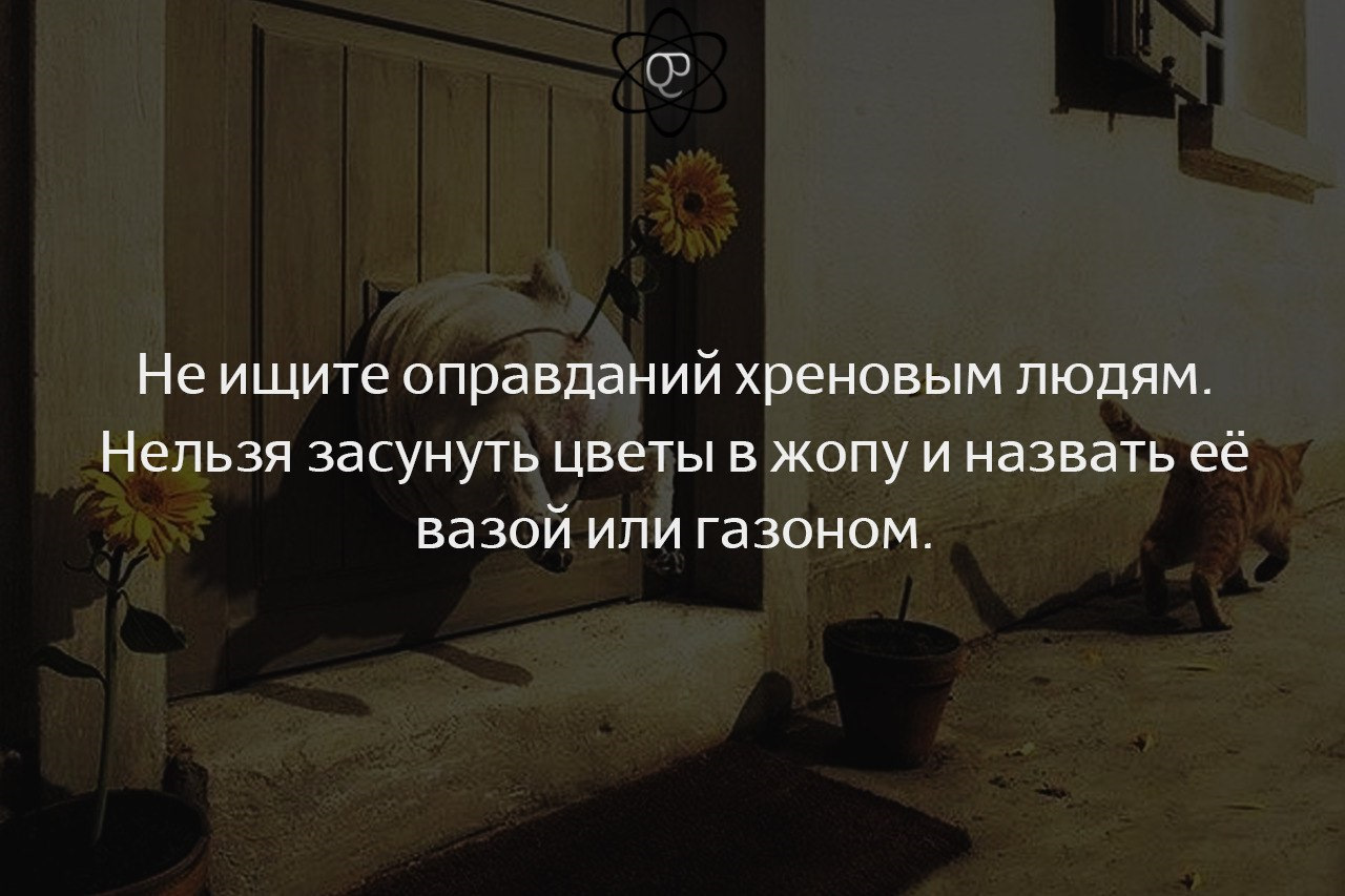 Стих про оправдание. Мужчина не ищет оправдания. Не ищи оправданий ищи возможности. Не ищу оправданий песня. Не ищу оправданий песня.