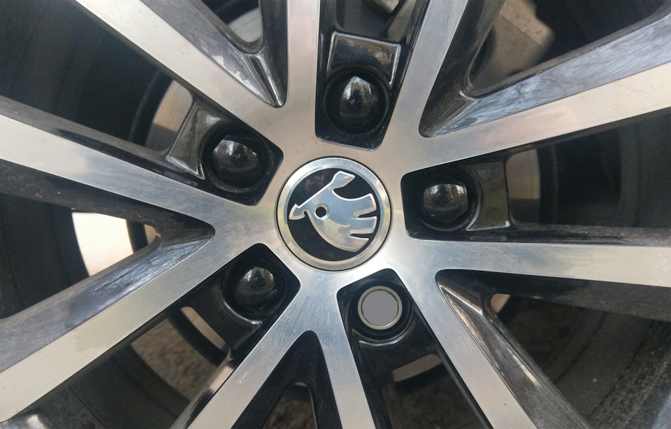 Оригинальные колпачки для колесных болтов Skoda — Skoda Octavia A7 Mk3 ...