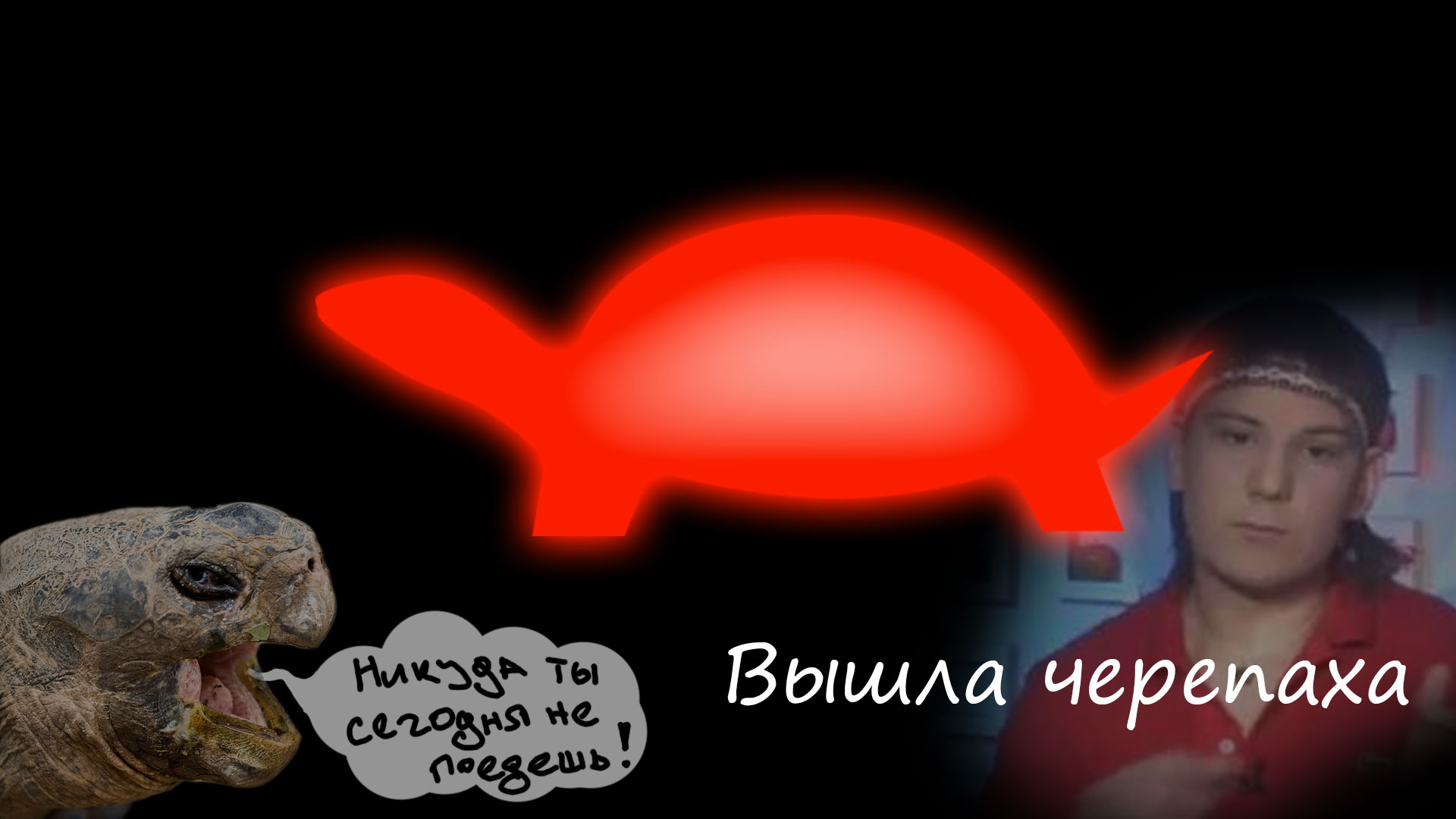 Вышла Черепаха A Утром