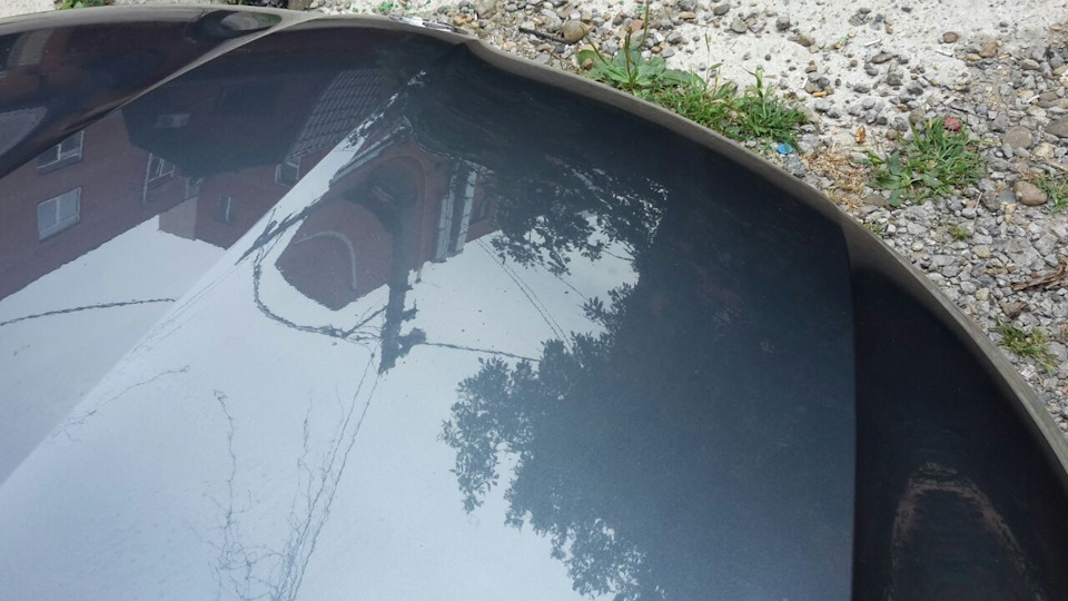 molodets otteret ne kapote mogu pyatna na dumayu chto Не могу оттереть пятна на капоте фото