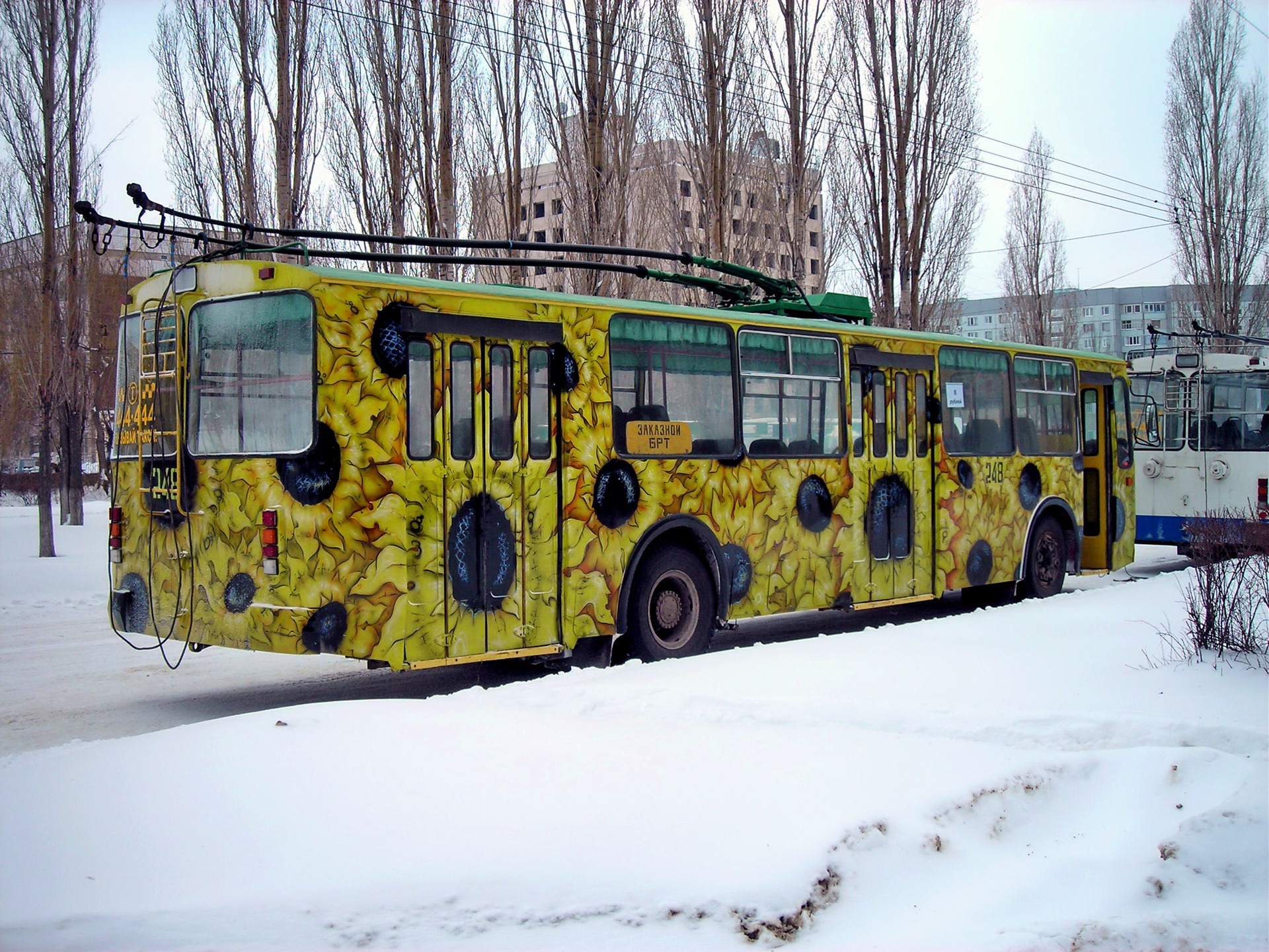 Самые необычные троллейбусы