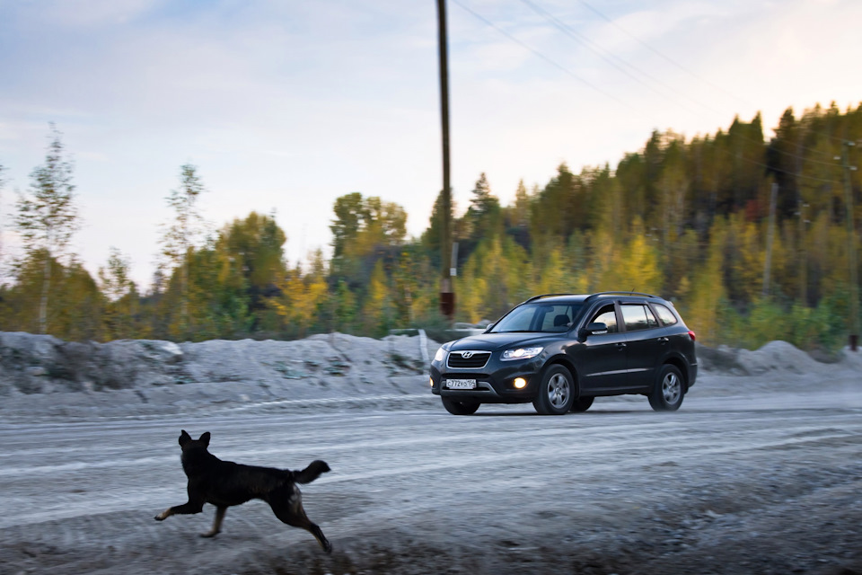 Фото в бортжурнале Hyundai Santa Fe (2G)