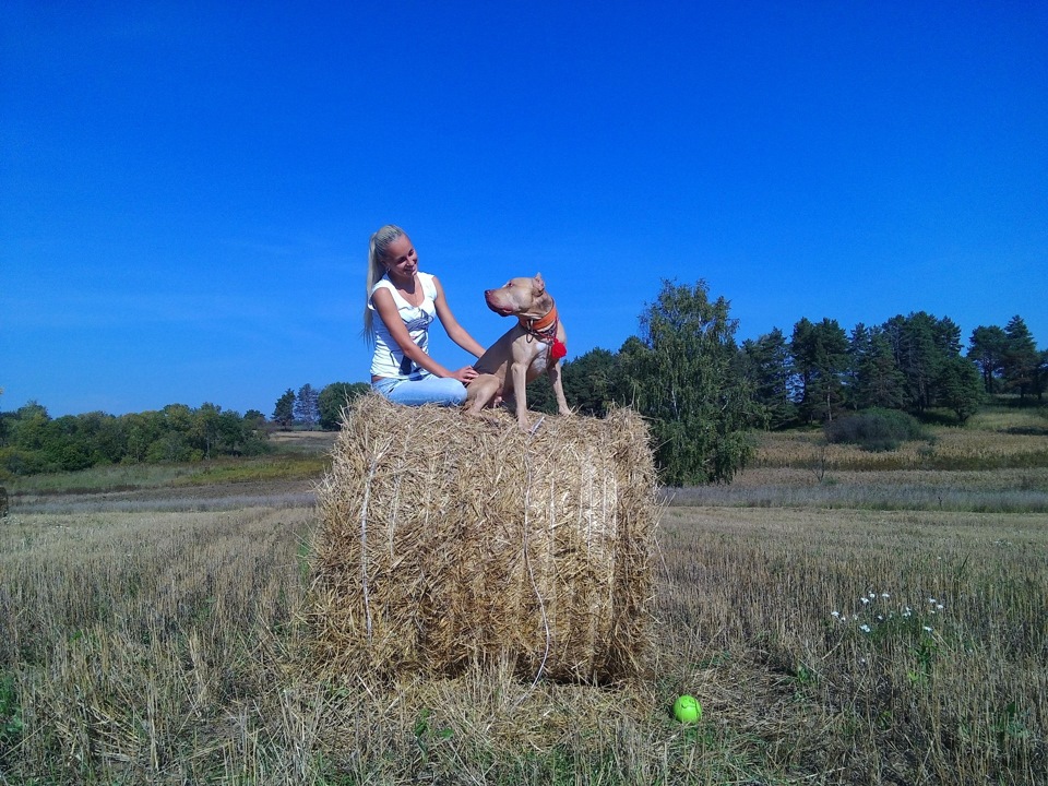 Прогулочка =) — Renault Duster (1G), 1,6 л, 2013 года | фотография | DRIVE2