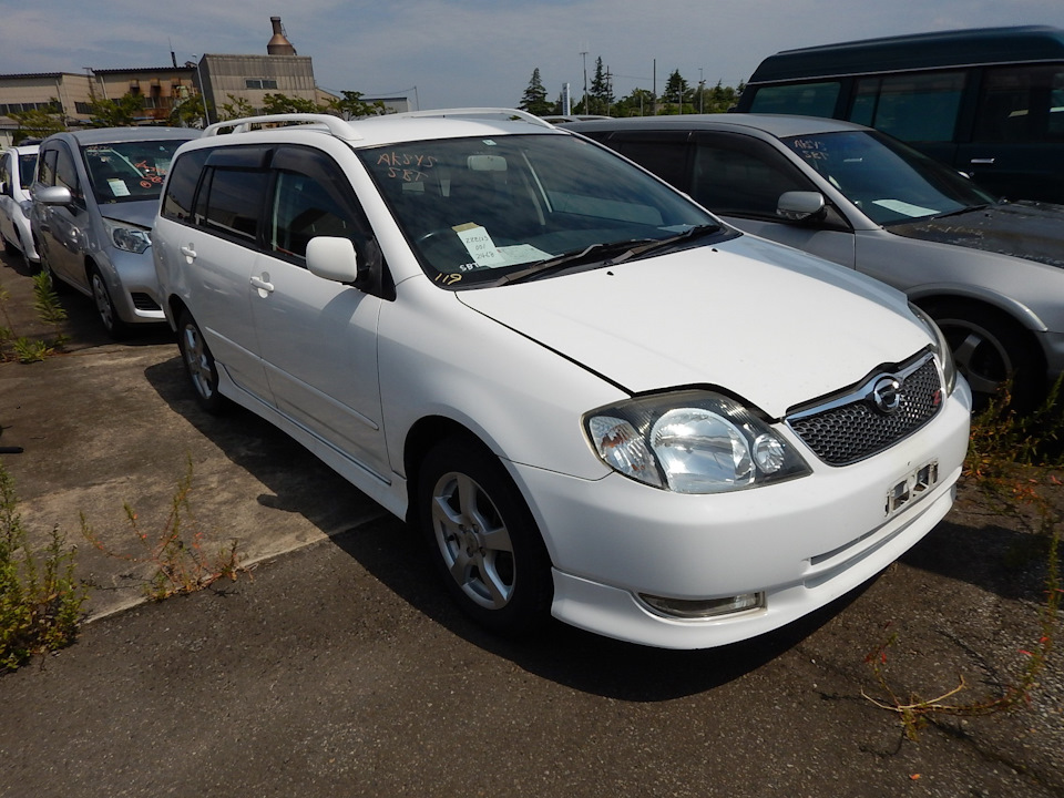 Прошу совета! — Toyota E120, 1,5 л, 2001 года | тюнинг | DRIVE2