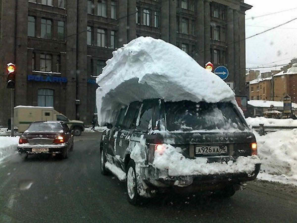Зима смешные картинки