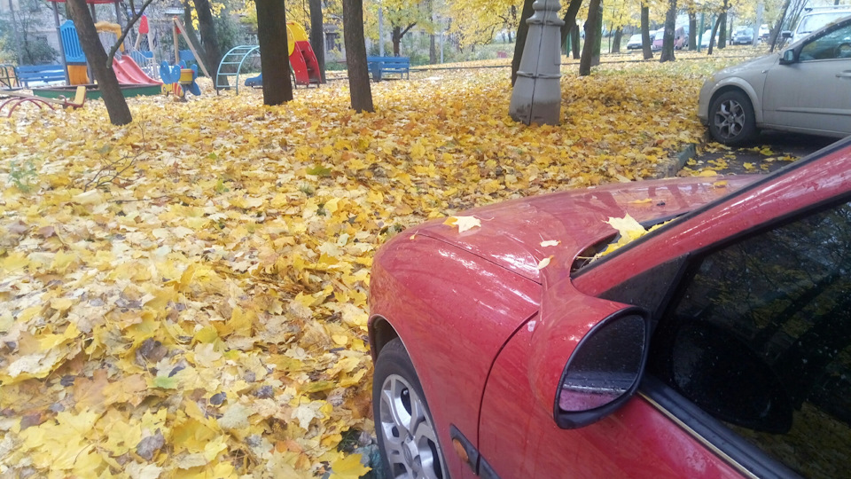 листопад…экспресс полироль — Opel Vectra B, 1,6 л, 1998 года | мойка ...