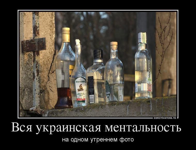 Алкоголизм демотиваторы. Не пей не кури. Пропитая жизнь. Кто что пьет. Человек выпивает.