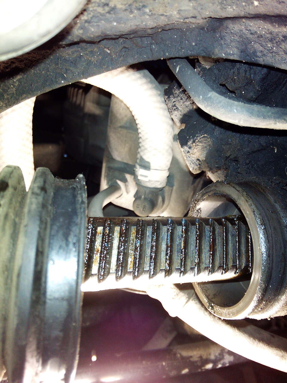 Фото в бортжурнале BMW 3 series (E46)