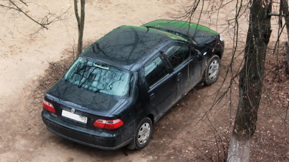 FIAT Albea Жучара