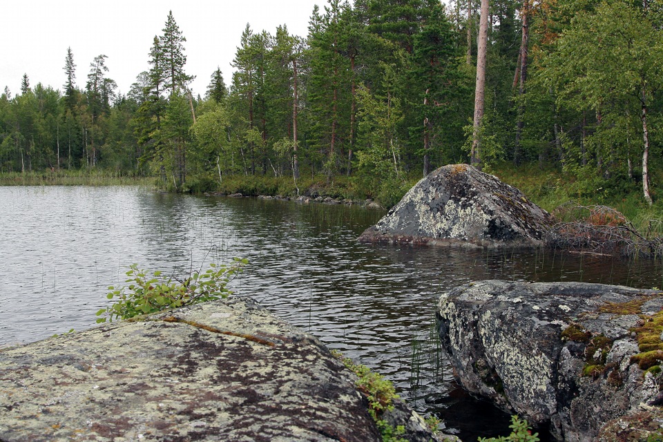 Лоухский район карелии фото