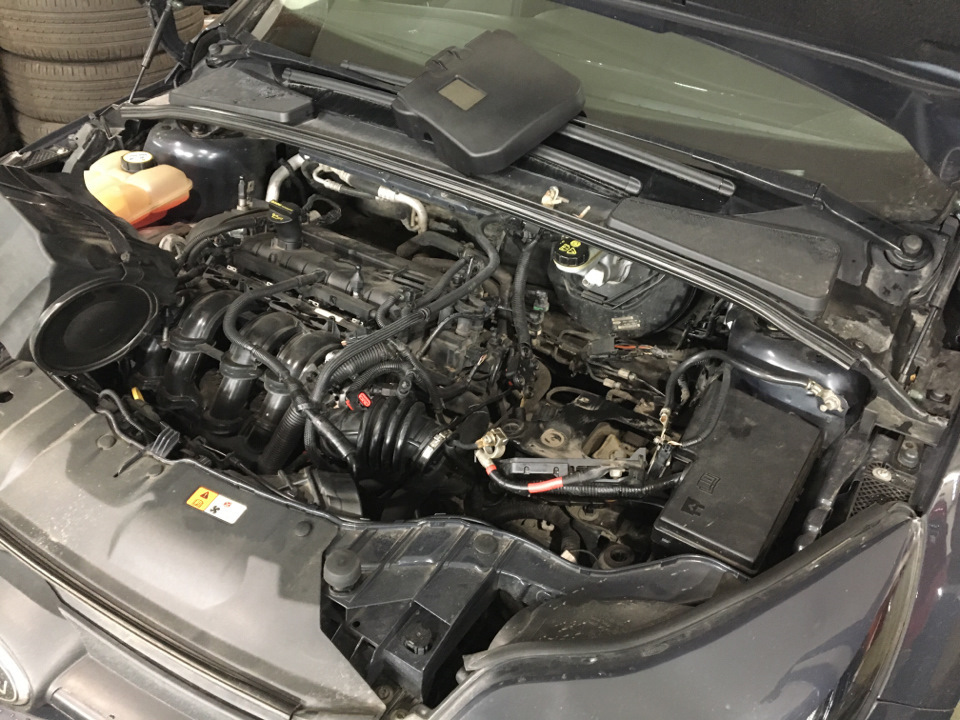 Что бы подобраться к трубкам и штуцерам прокачки вытаскиваем АКБ вместе с корпусом ) — Ford Focus Hatchback III