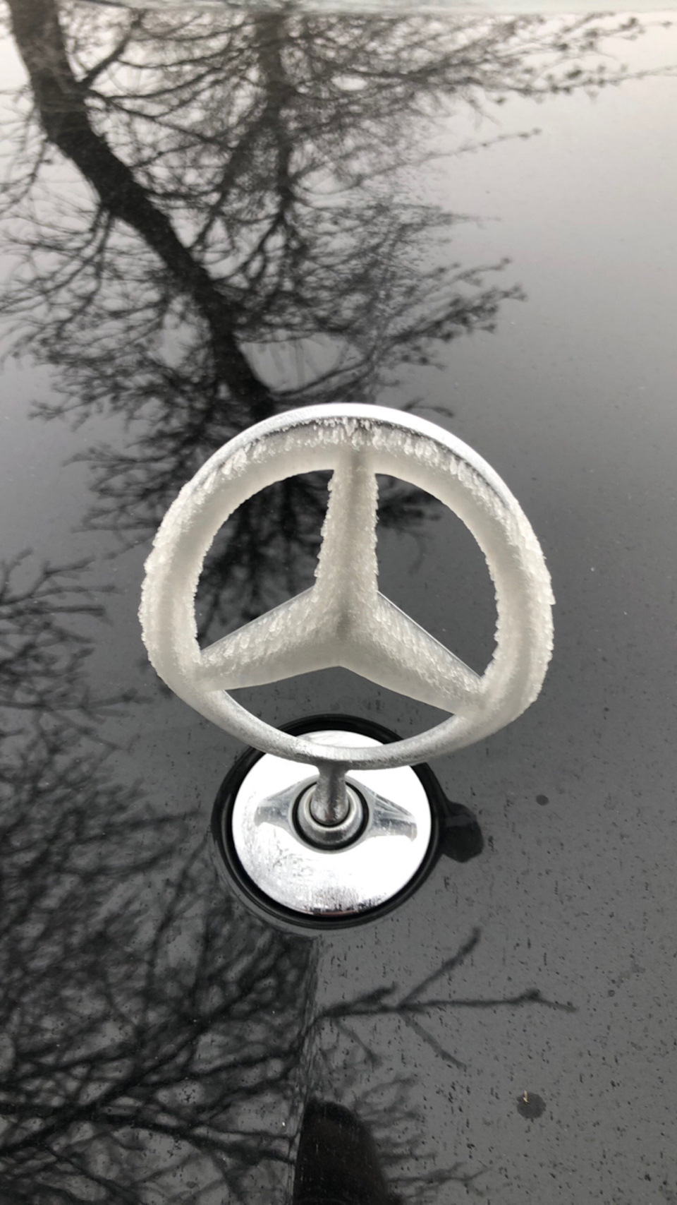 Photo from the logbook Mercedes-Benz E-Class (W212)