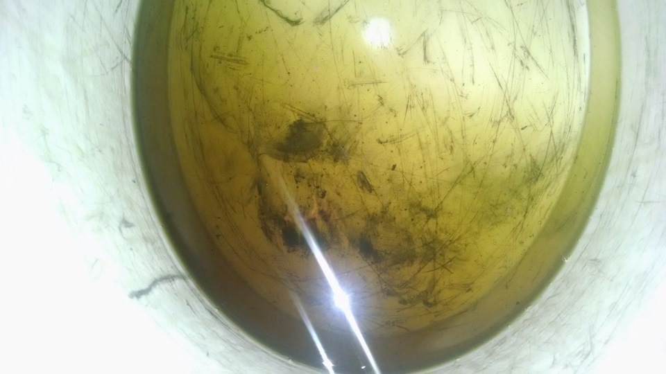 Какое было масло в муфте HALDEX 4 — Volkswagen Tiguan (1G), 1,4 л, 2008 ...