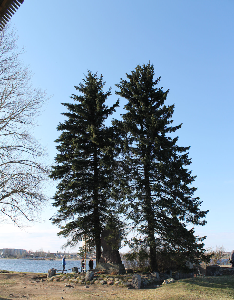 Фото в бортжурнале Volvo S80 (2G)