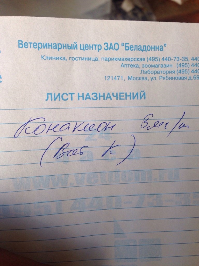 нужна помощь собаке — Honda Civic Hatchback (6G), 1,8 л, 1997 года ...