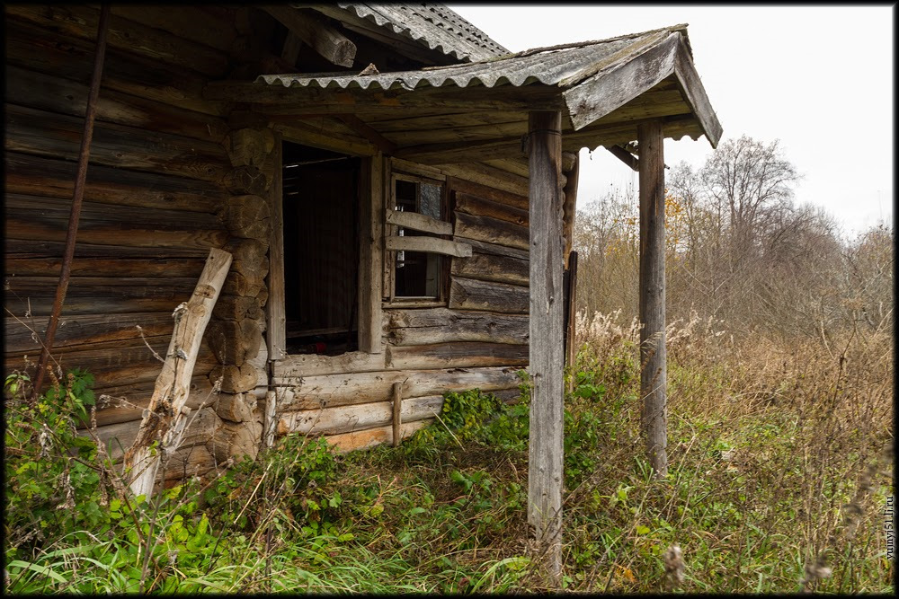 Позабытое старое. Заросли в заброшенной деревне. Позаброшенная крепость. Заброшенные хутора в Эстонии фото.