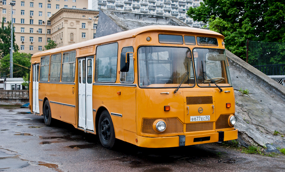 Старый пёс - Фото пользователя - ЛиАЗ - Твой Транспорт