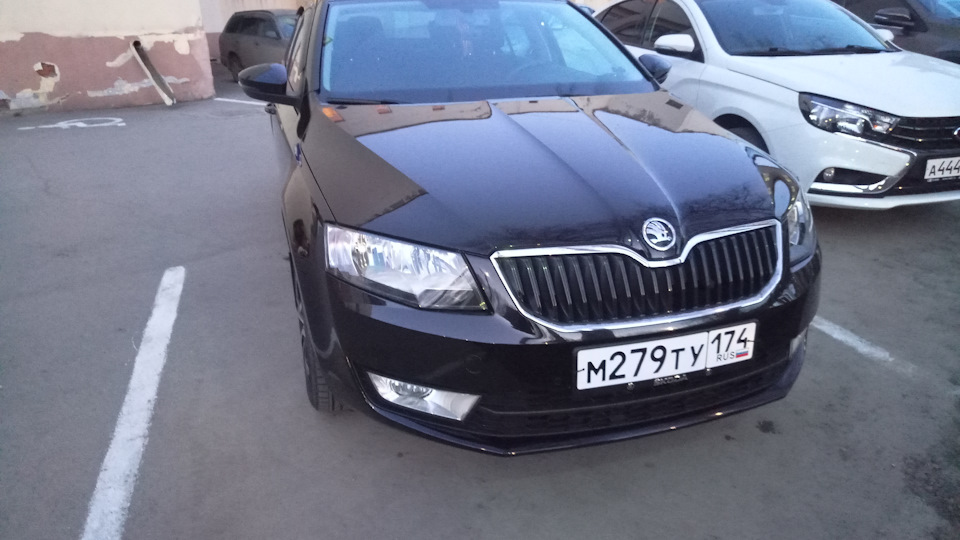 Skoda Octavia A7 Mk3 1.4 бензиновый 2016 | Черная фурия на DRIVE2