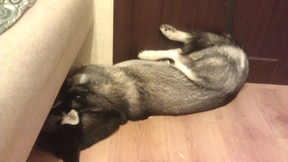 Стабилизатор поперечной устойчивости от ВАЗ-2170 — Lada 2114, 1,6 л ...