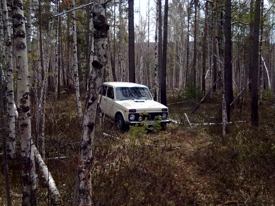 Нива 4x4 по лесам