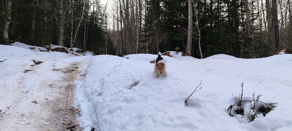 Фото в бортжурнале Mitsubishi Pajero (4G)