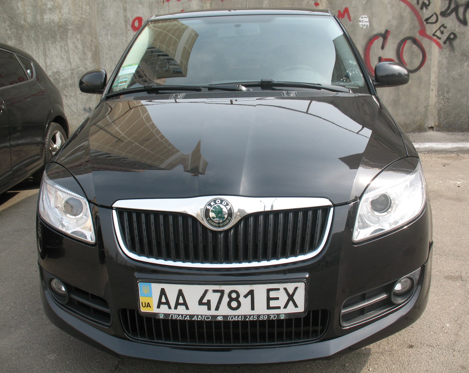 Ресницы — Skoda Fabia Mk2, 2008 года | фотография | DRIVE2