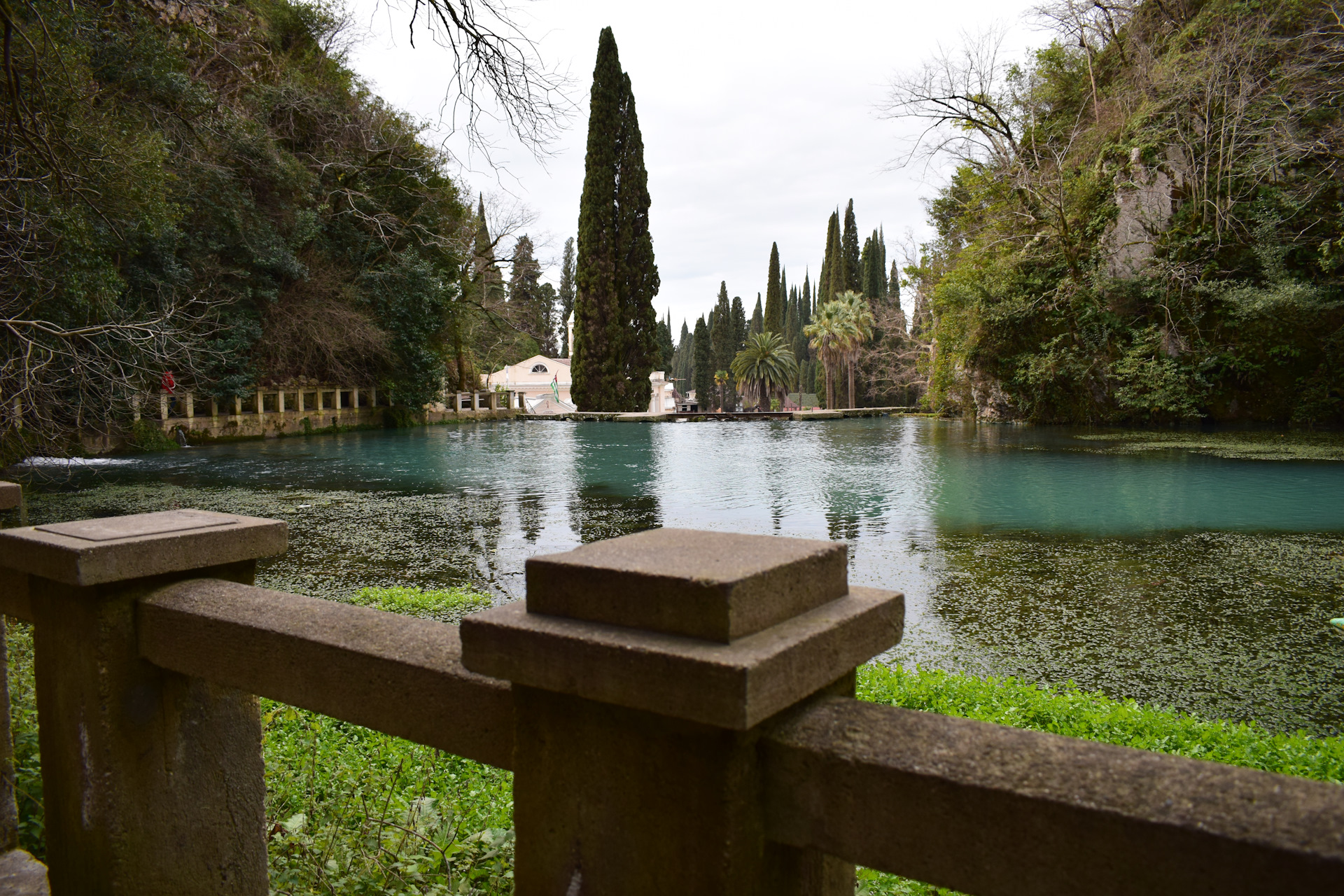 Сухумский Ботанический сад озеро Рица