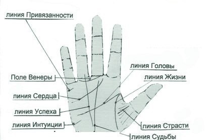 Значение линий на ладони человека с пояснениями в картинках