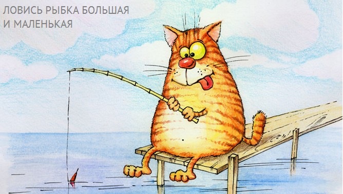 Доброе утро рыбаку
